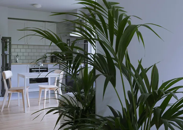 Krowodrza Apartment's